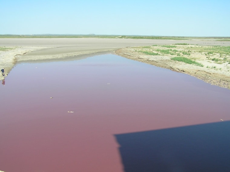 OC Fisher, a reservoir in West Texas, turned blood-red in recent weeks — what's left of it anyway. Because of unrelenting drought in Texas, the lake has almost entirely dried up, leaving thousands of dead fish behind. As of the last week in July, when this photo was taken, bacteria had turned the stagnant dregs of the lake red. 