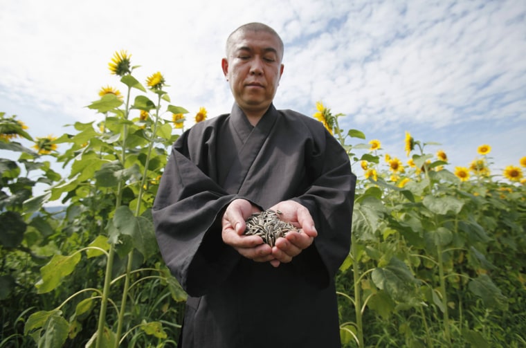 Image: Abe, a Zen priest of Joenji temple, poses while holding sunflower seeds in front of a field of sunflowers in Fukushima