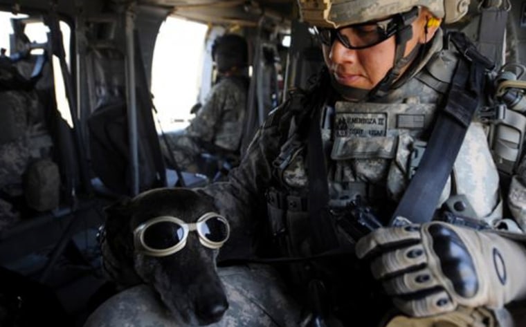 Staff Sgt. Philip Mendoza pets his military working dog, Rico, wearing doggles, during training aboard a helicopter April 21 at Joint Base Balad, Iraq.