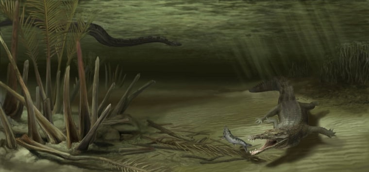 This illustration shows how Acherontisuchus guajiraensis, a 60-million-year-old ancestor of crocodiles, would have looked in its natural setting. Titanoboa, the world’s largest snake, is pictured in the background.