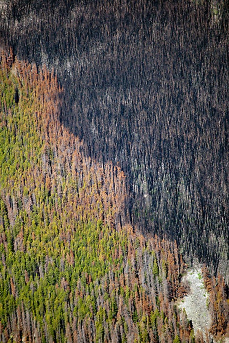A mountainside in the Bob Marshall Wilderness in Montana shows, in one photograph taken from the air, the two forces that are devastating forests in the West.