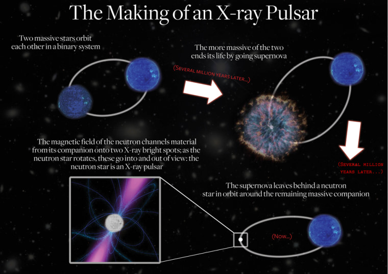 This diagram illustrates the key steps in the creation of an X-ray pulsar. New research suggests that there are actually two distinct classes of such pulsars — one spinning much faster than the other — and that these classes are associated with two different types of supernova explosions.