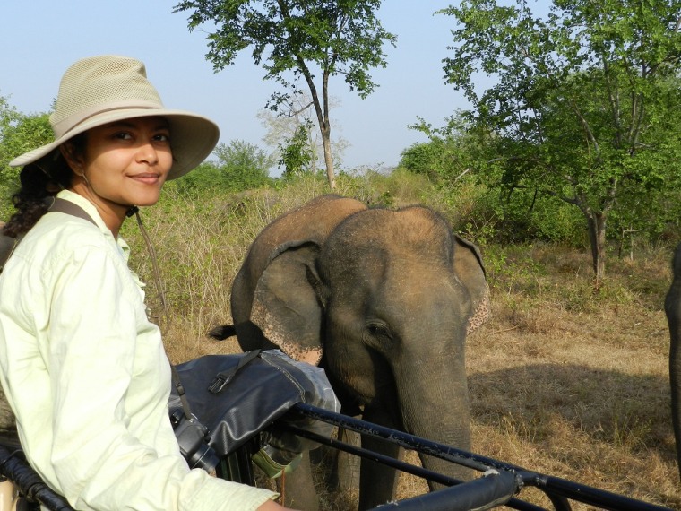 Shermin de Silva is hoping to raise money to hire and train an elephant-research assistant at the Uda Walawe Elephant Research Project, the first-ever long-term study of Asian elephants in the wild. The assistant is named Tharanga, an 18-year-old who grew up near the park. "I would be able to pay for him to have additional training, to take ecology classes or to go to conferences," de Silva told LiveScience. "I want to provide job security for at least five years and at that time we would be able to support him ourselves." Donate at . 