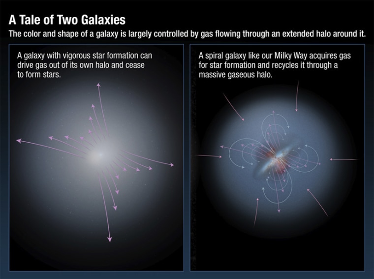 Some galaxies undergo a rapid star formation phase, losing stellar gases to intergalactic space; others choose to recycle, extending their star forming lifespans.