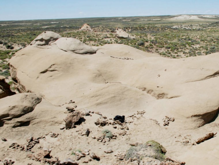 The "intelligent machine" was successful at spotting fossil sites in the Great Divide Basin, a stretch of rocky desert in Wyoming.