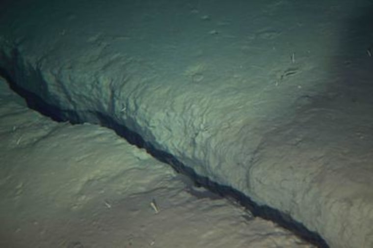 This 8-inch-wide (20 cm) crevasse stretches for at least tens of meters in a north-south direction; its depth is unknown. The crack, at a depth beneath the water's surface of 10,558 feet (3,218 m) was imaged on Aug. 10.