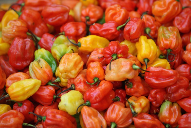 Why Are Chili Peppers So Spicy?