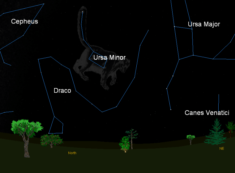 This sky map shows the location of the constellation Ursa Minor (Little Bear), the star pattern from which the annual Ursid meteor shower appears to radiate. This map shows where to look at 10 p.m. local time on Thursday (Dec. 22) to find Ursa Minor in the northern night sky from mid-northern latitudes.