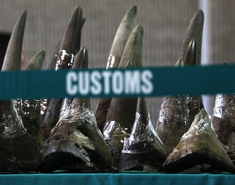 Image: Part of a shipment of 33 rhino horns seized by Hong Kong Customs and Excise Department is displayed during a news conference in Hong Kong