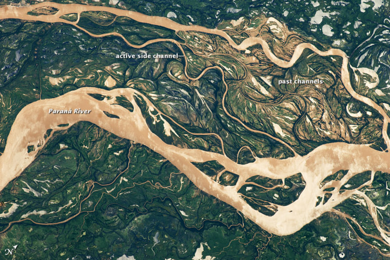 The Parana River in South America meanders across this astronaut image, the sediment in its waters clear from the brown color of the river. The river's floodplain takes up the entire image, which was taken by astronauts aboard the International Space Station.
