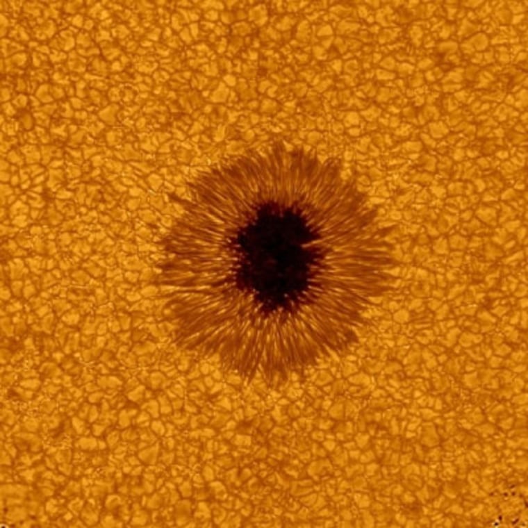 Verlichting Split buik How the sun gets its spots: New theory offered for solar mystery