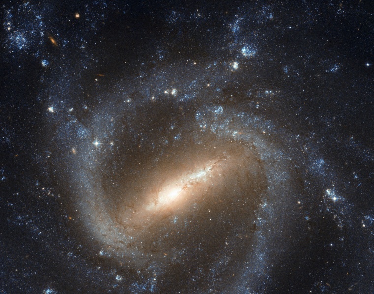 The barred spiral galaxy NGC 1073 is seen in this image from the Hubble Space Telescope.