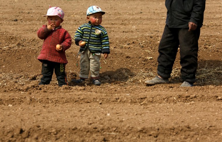Image: An elderly farmer walks through his field with his two grandsons as he takes a break from planting his crops on the outskirts of Weifang