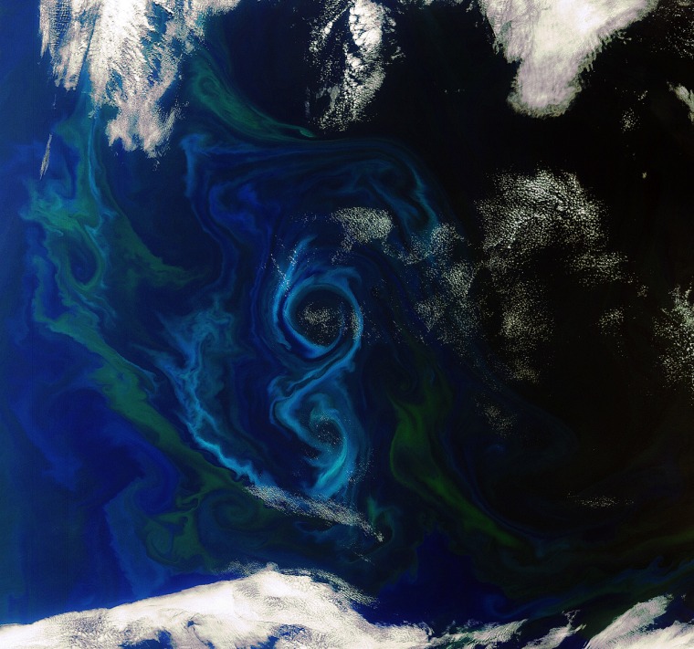 An algae bloom in the shape of a figure 8 pops out in this south Atlantic Ocean photo. 