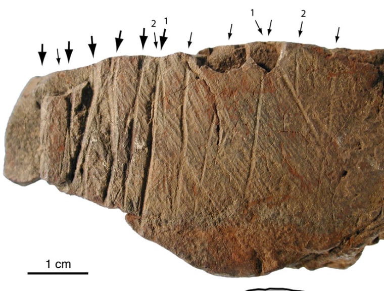 Scientists concluded that humans intentionally made the sub-parallel linear incisions on this Middle Stone Age ochre pebble.
