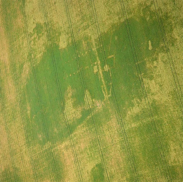 The Y-shaped Roman structure, discovered in eastern England in the Norfolk area, can be seen in this aerial shot. Nothing like it has been discovered before from the Roman Empire. Sometime later another Roman structure (whose postholes can be seen) was built on top of it.