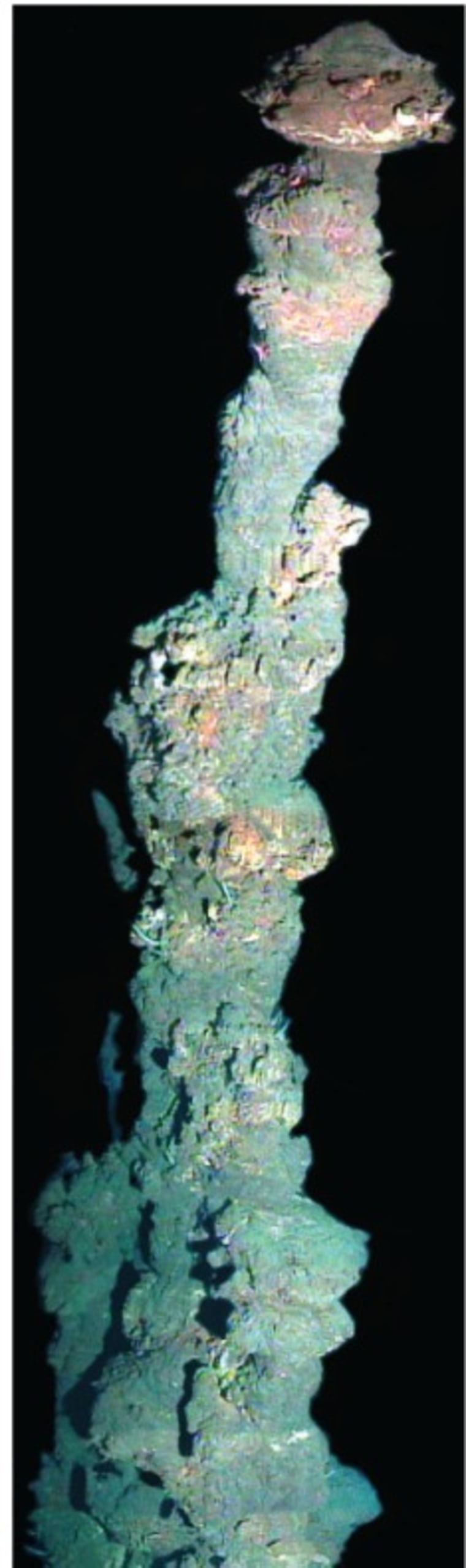 This expired hydrothermal vent towers 30 feet (9 meters) above the seafloor. Scientists took rock samples from the top for their study.