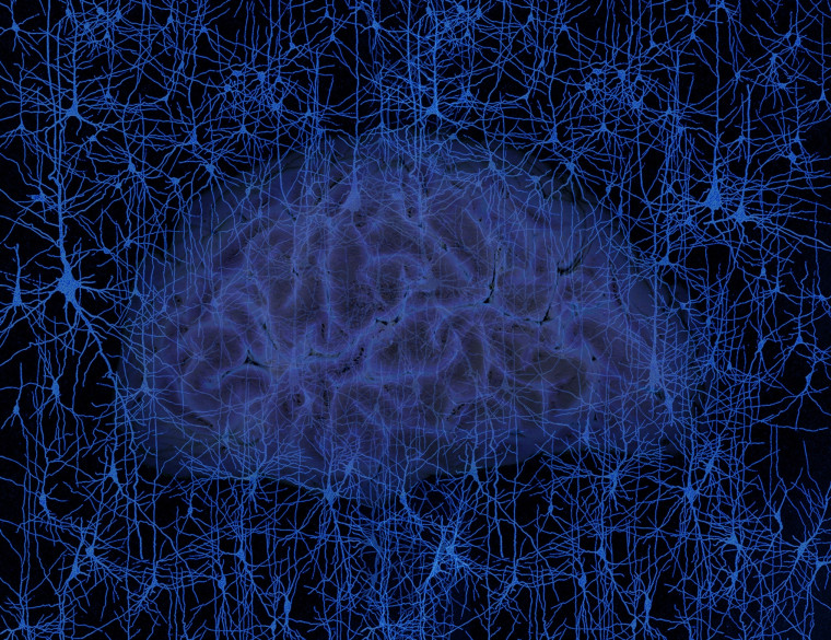 Image: Brain and neurons
