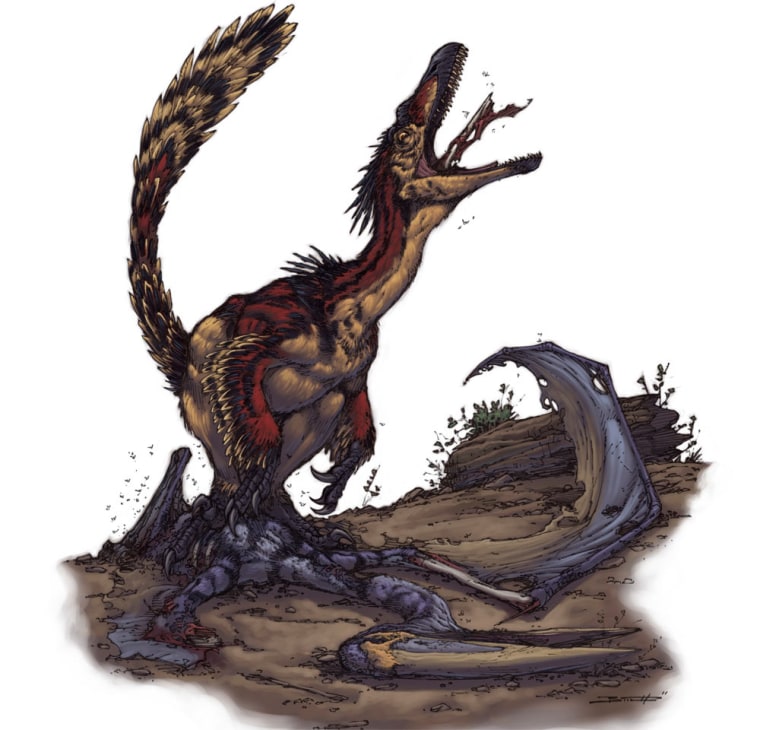 An artist's impression of a Velociraptor scavenging the carcass of a pterosaur.
