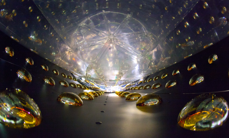 The inside of a cylindrical antineutrino detector before being filled with clear liquid scintillator, which reveals antineutrino interactions by the very faint flashes of light they emit. Sensitive photomultiplier tubes line the detector walls, ready to amplify and record the telltale flashes.