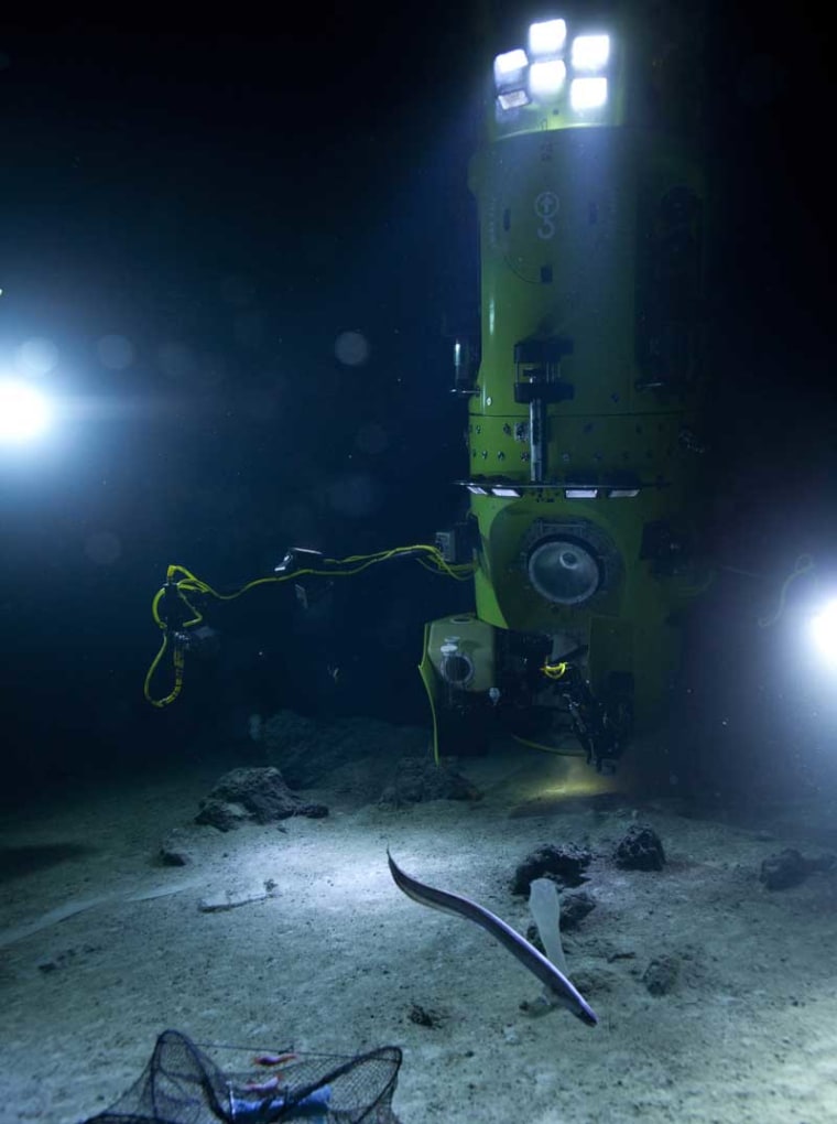 Image: Deepsea Challenger