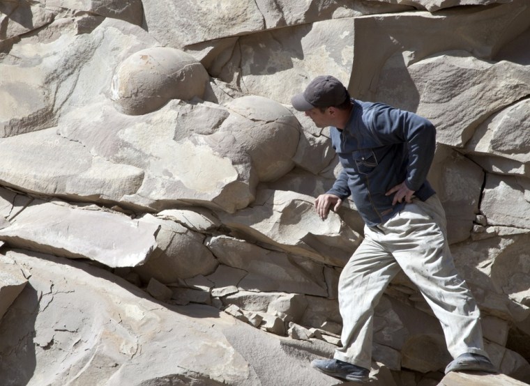Image: A man looks at what is believed to be fossilised dinosaur eggs at a site in Russia's volatile Chechnya region