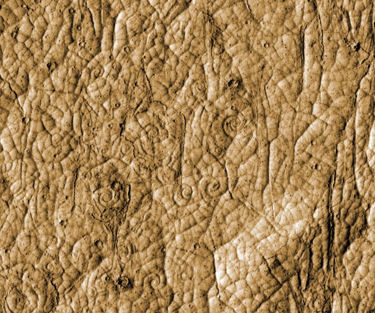 Lava coils on patterned volcanic crust in Cerberus Palus, Mars.