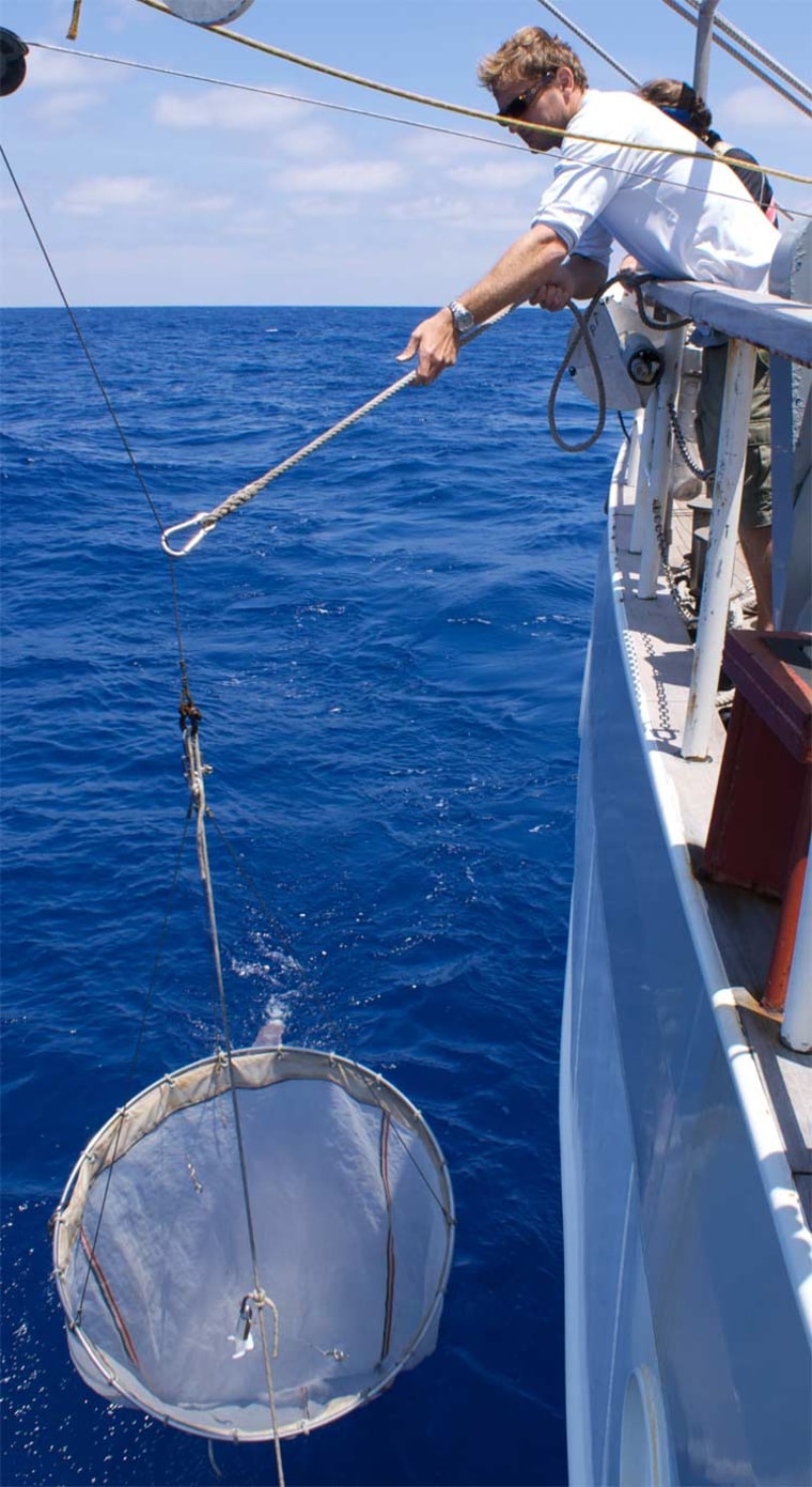Giora Proskurowski deploys a net to collect samples to help learn how much plastic debris is in the ocean.