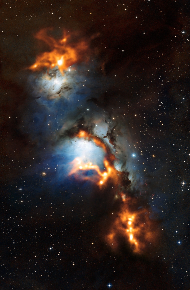Shimmering nebula revealed near Orion's Belt