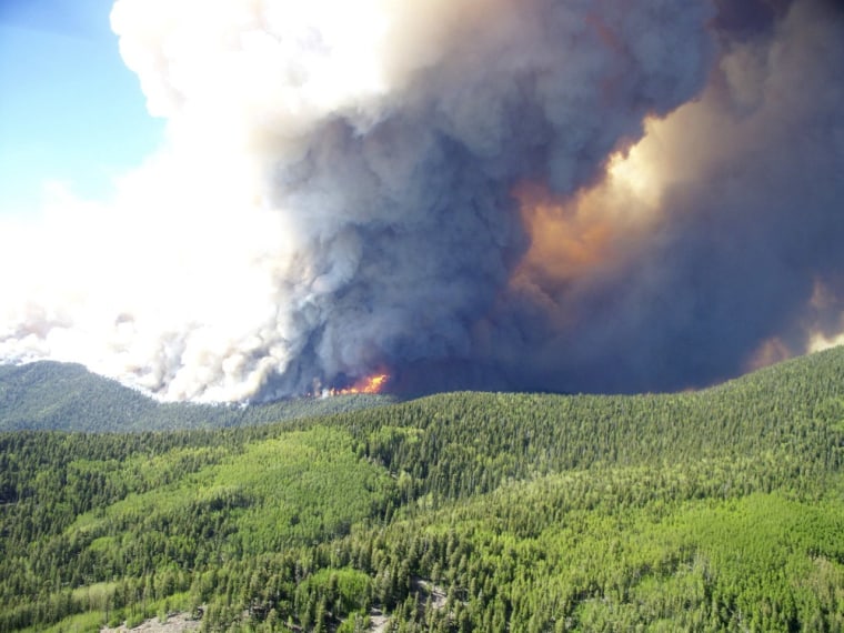 Image: Smoke rises into the air from a large forest fire in Gila National Forest, New Mexico