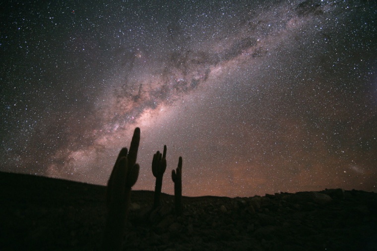 Large cacti appear to point at the sky in the Chilean Atacama Desert. The Milky Way dominates the image, with the Large Magellanic Cloud in the lower right. These particular cacti are found on the winding road connecting ESO's Atacama Large Millimeter/submillimeter Array (ALMA) Operation Support Facility to the Array Operation Site at ESO, at an altitude of about 11,500 feet (3500 meters).