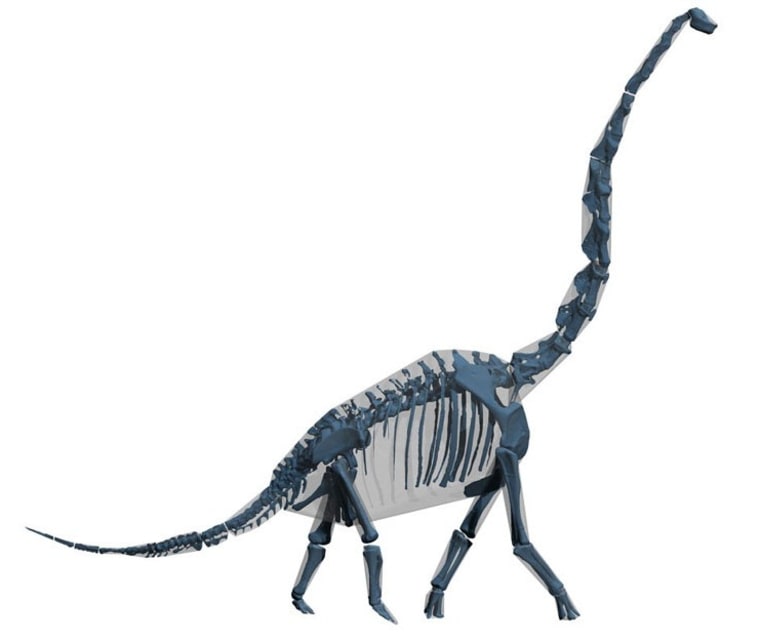 Image: Brachiosaur
