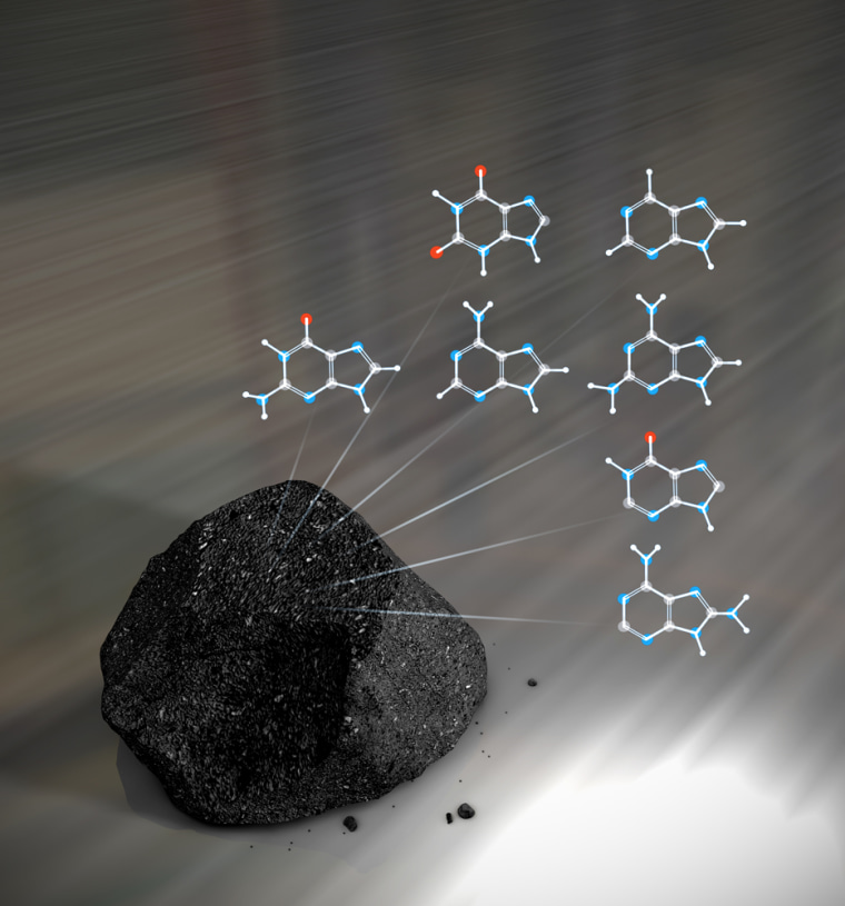 Meteorites have been found to contain a variety of the essential building blocks of DNA.