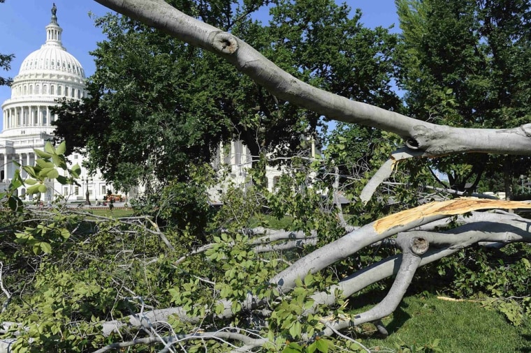 Image: Storm-damaged trees litter the east lawn of the U.S. Capitol in Washington