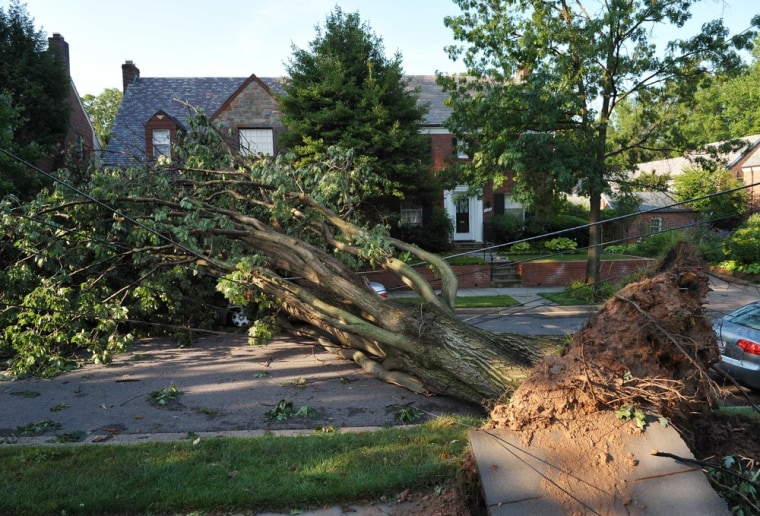 Image: An uprooted tree block a street in the A