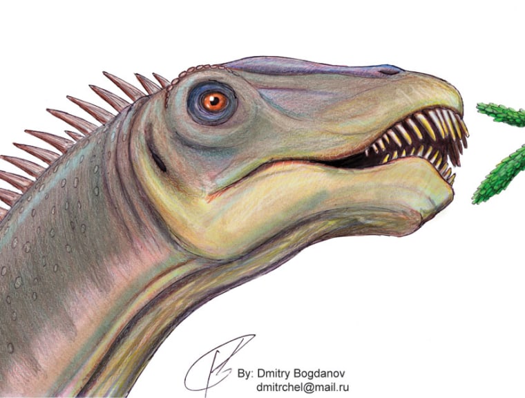 Image: Reconstruction of Diplodocus feeding