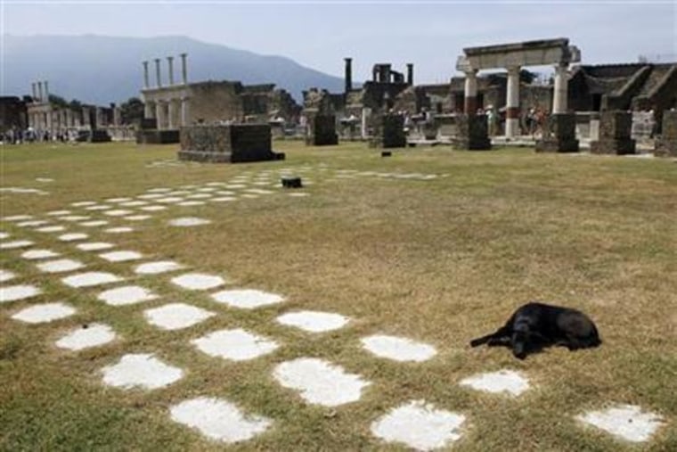 A dog lies on the ground in Pompeii, the famous city next to Naples which was destroyed in AD 79 by the eruption of Mount Vesuvius July 17, 2008.