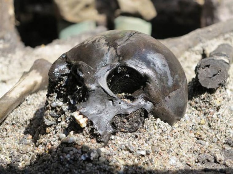 This skull, uncovered among the remains of many other warriors at Alken Enge in Denmark, has a mortal wound in the back of the cranium.