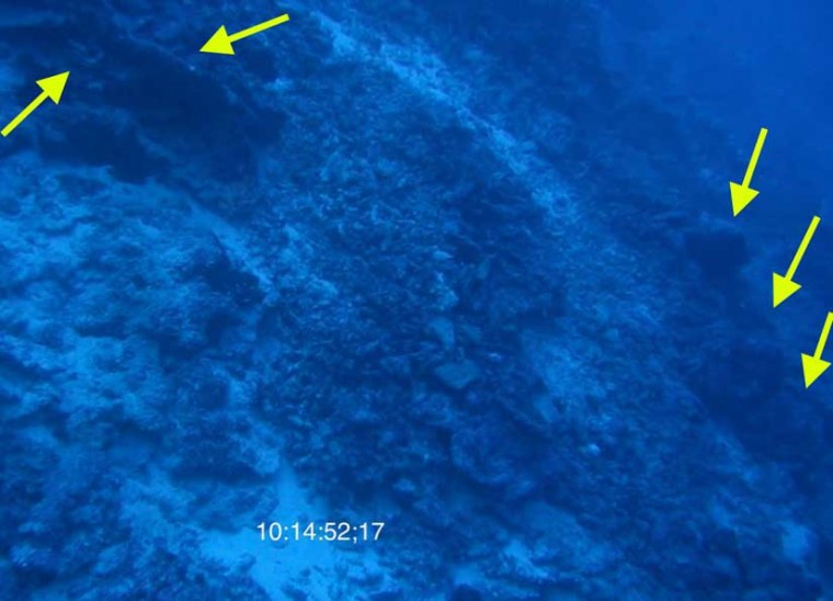 A screengrab from underwater video shows a semicircle at top (the fender?) and a round object off to right. Could they be remnants of Amelia Earhart's plane? 