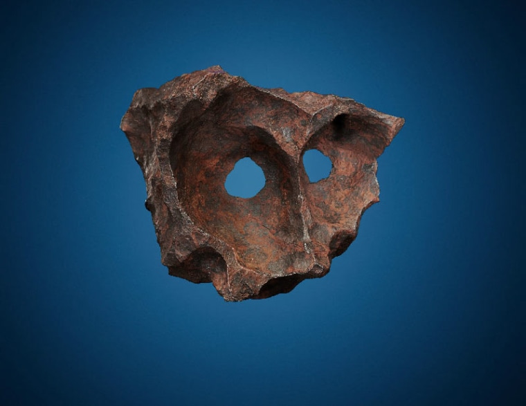 The naturally formed holes on this iron Gibeon meteorite, up for auction in October, found in Namibia give it an animal-like appearance.