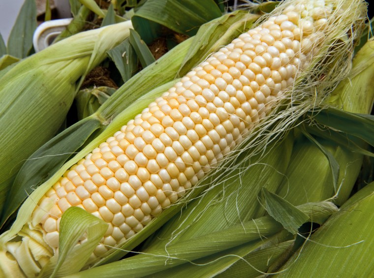 Image: (FILES)A ear of corn is seen as locally