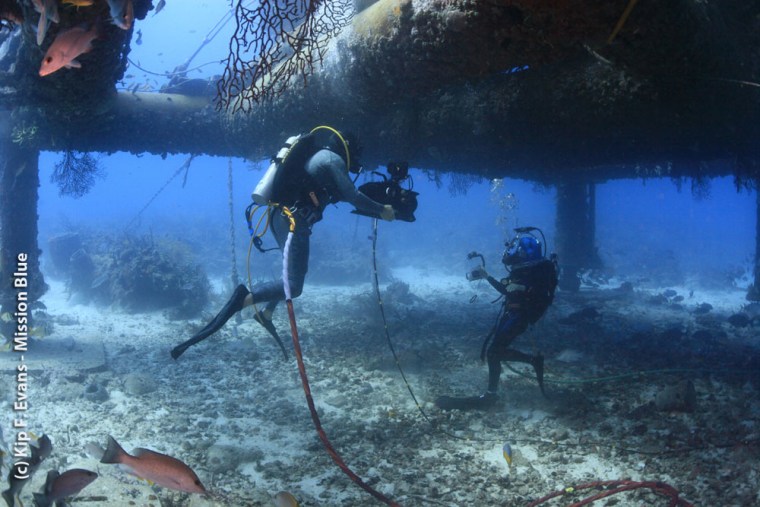 Filming at the Aquarius Reef Base with IMAX cameras to raise awareness of ocean research and conservation.