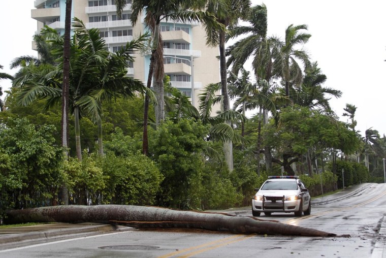 Image: A Fort Lauderdale Police car stops at a fallen palm tree trunk blocking the road.