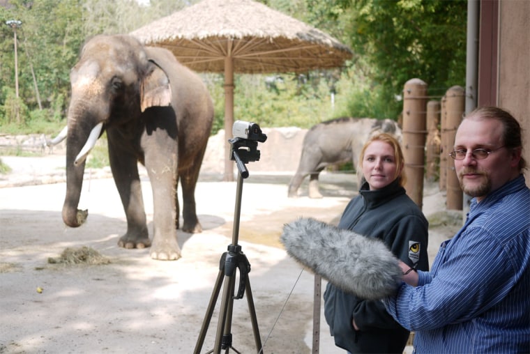 Koshik, an elephant at the Everland Zoo in South Korea, can speak Korean aloud. Here Ashley Stoeger and Daniel Mietchen record his vocalizations.