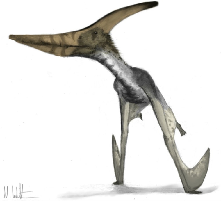 Quetzalcoatlus demonstrates the so-called "quad launch" in this illustration.