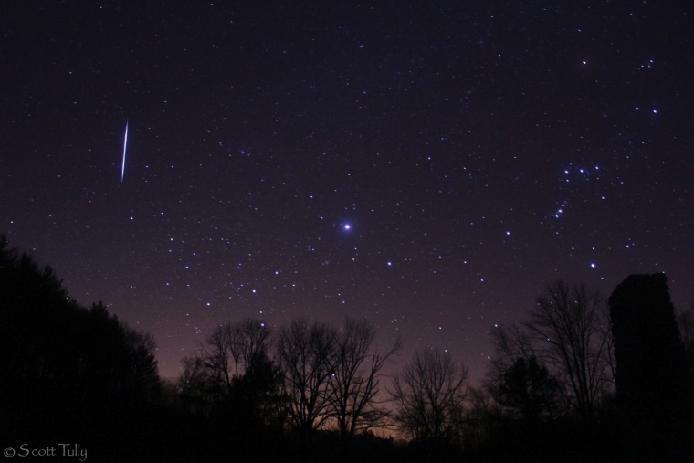 Leonid meteor over rural Connecticut