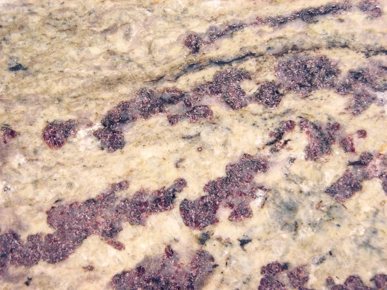Cut and polished slab of gneiss from ultrahigh temperature rocks in Connecticut. The gneiss contains unique, large red garnets and is strongly deformed. The field of view is about 5 inches (12 centimeters) wide.