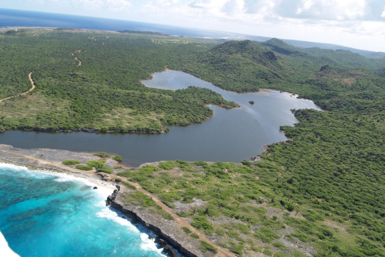 A coastal lagoon on the Caribbean island of Bonaire.