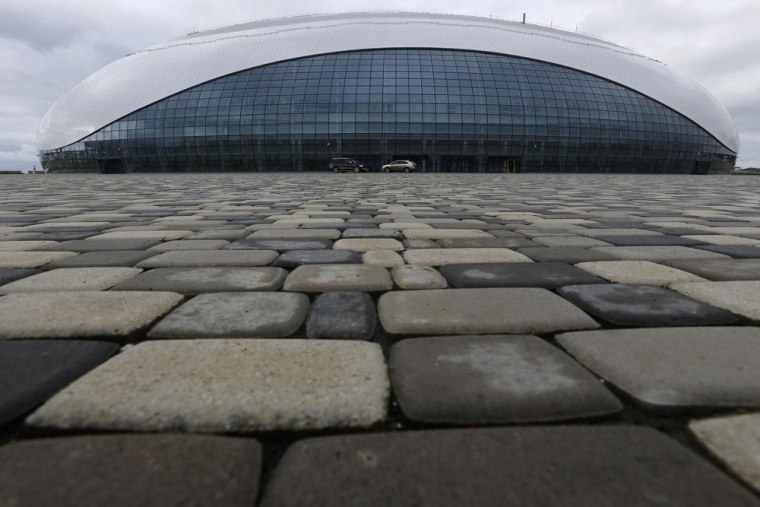 Image: The Bolshoy ice dome, the hockey venue for the Sochi 2014 Winter Olympics, at the Olympic Park in Adler, near Sochi