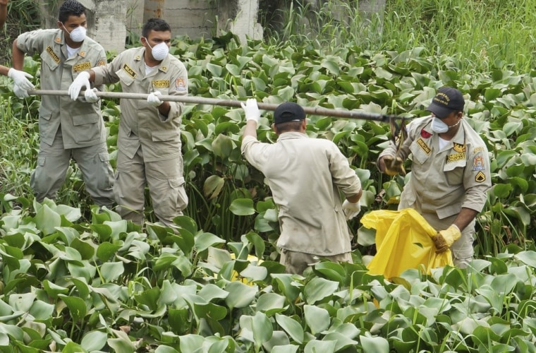 Image: Forensic technicians and police officials recover the remains of a dead person,